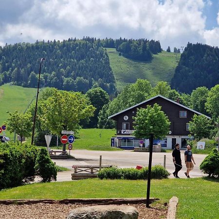 Place Royale Pour 10 A 12 Personnes A 30 Met Des Pistes De Ski Et Vtt Métabief Exteriör bild