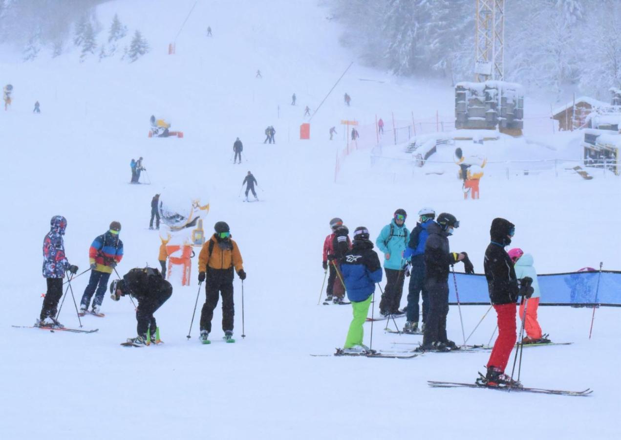 Place Royale Pour 10 A 12 Personnes A 30 Met Des Pistes De Ski Et Vtt Métabief Exteriör bild