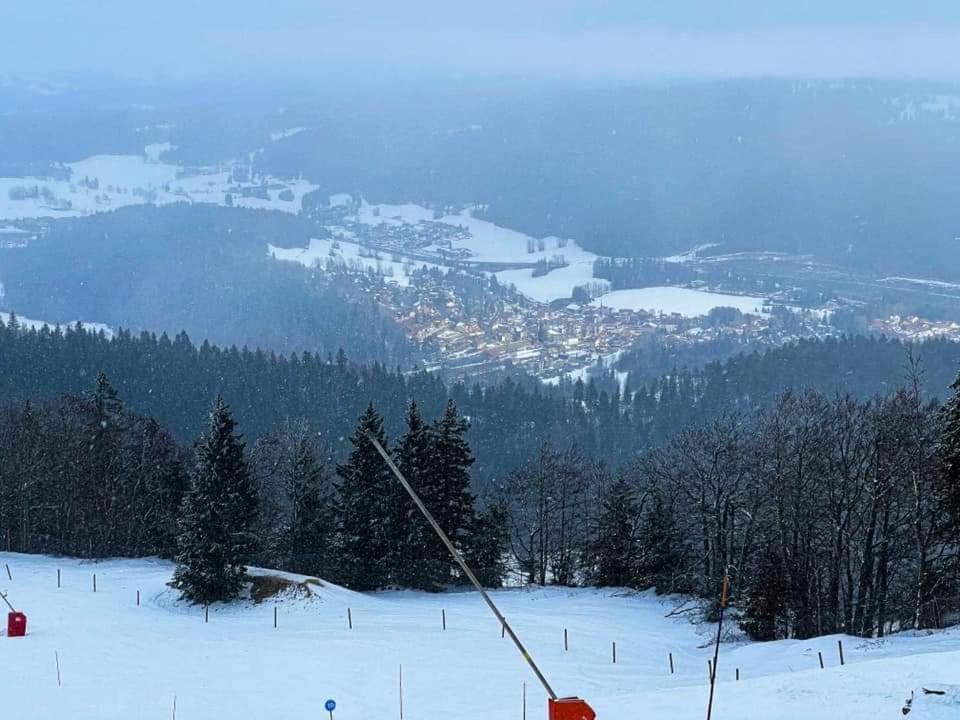 Place Royale Pour 10 A 12 Personnes A 30 Met Des Pistes De Ski Et Vtt Métabief Exteriör bild