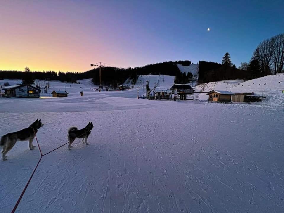 Place Royale Pour 10 A 12 Personnes A 30 Met Des Pistes De Ski Et Vtt Métabief Exteriör bild